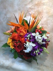 Square with Birds and Orchids Square with Birds and Orchids - Square with Birds and Orchids