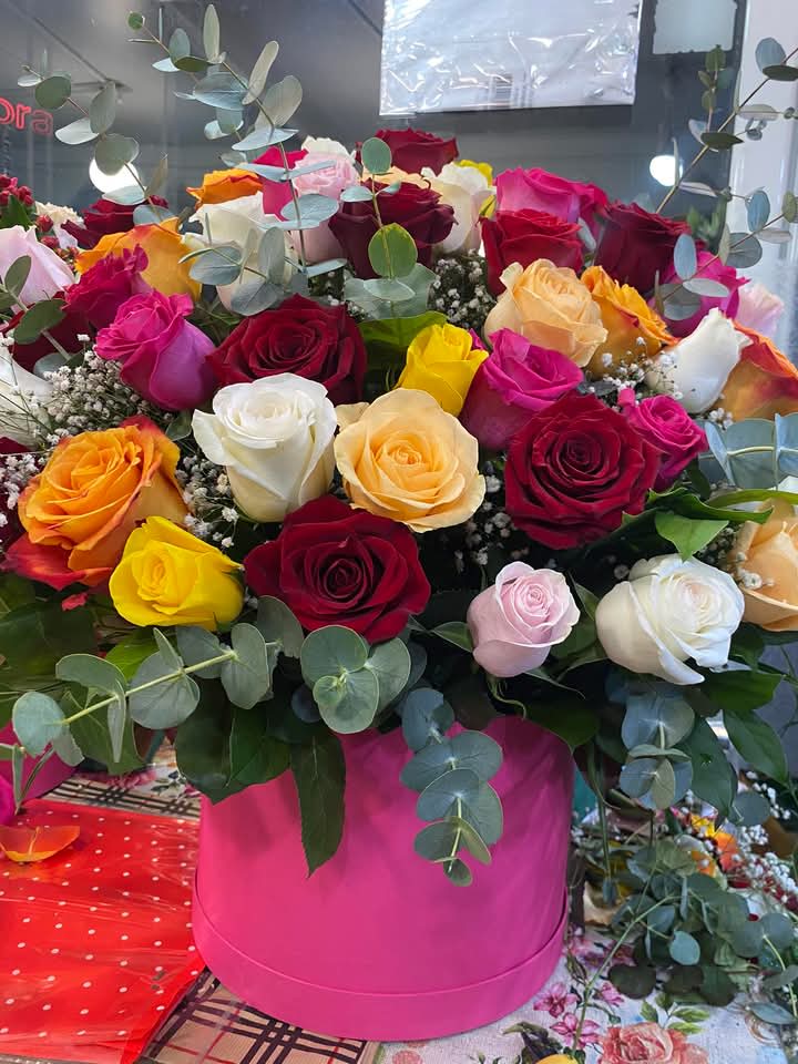 Modern rose design - Colorful roses in modern design