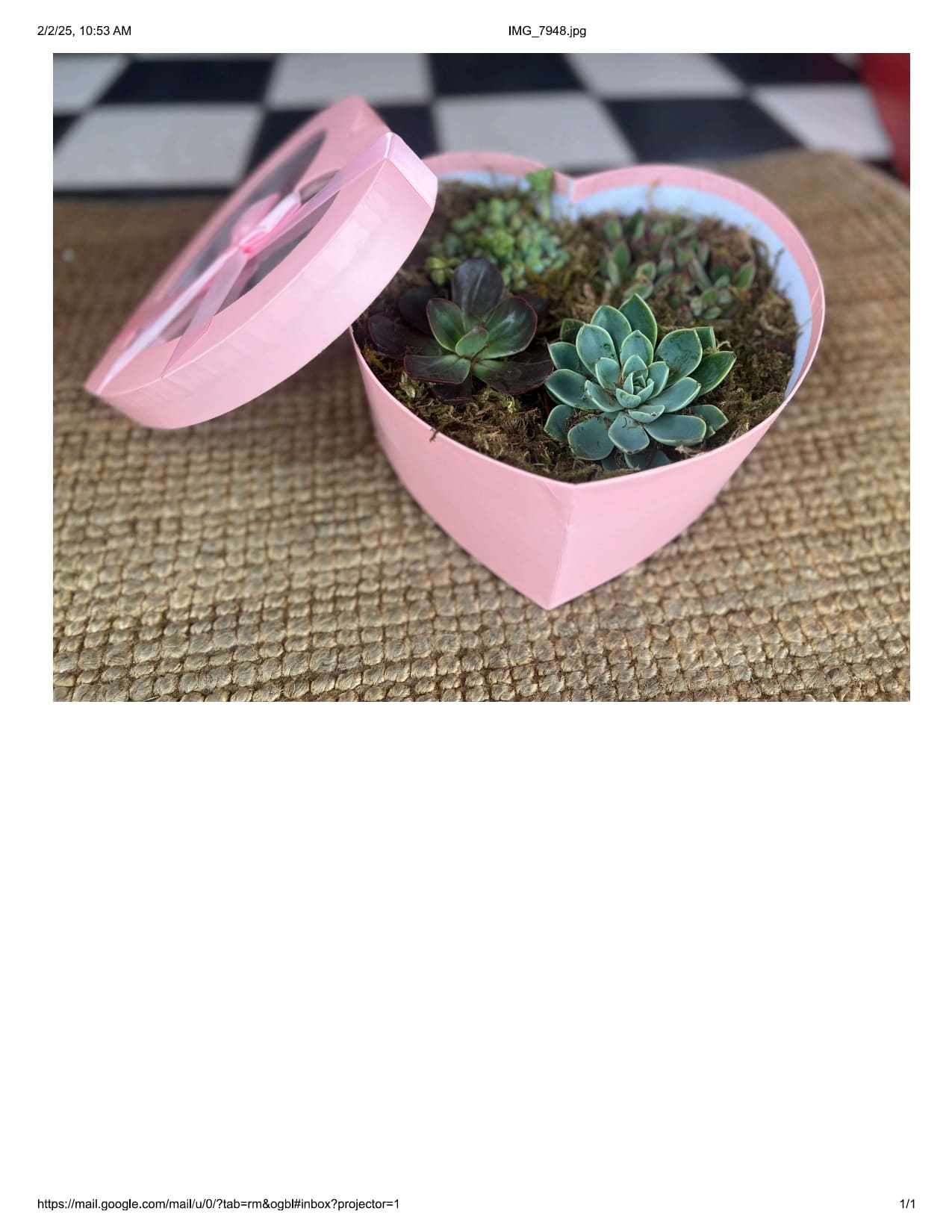 Succulent Heart Box - Succulent Heart Box