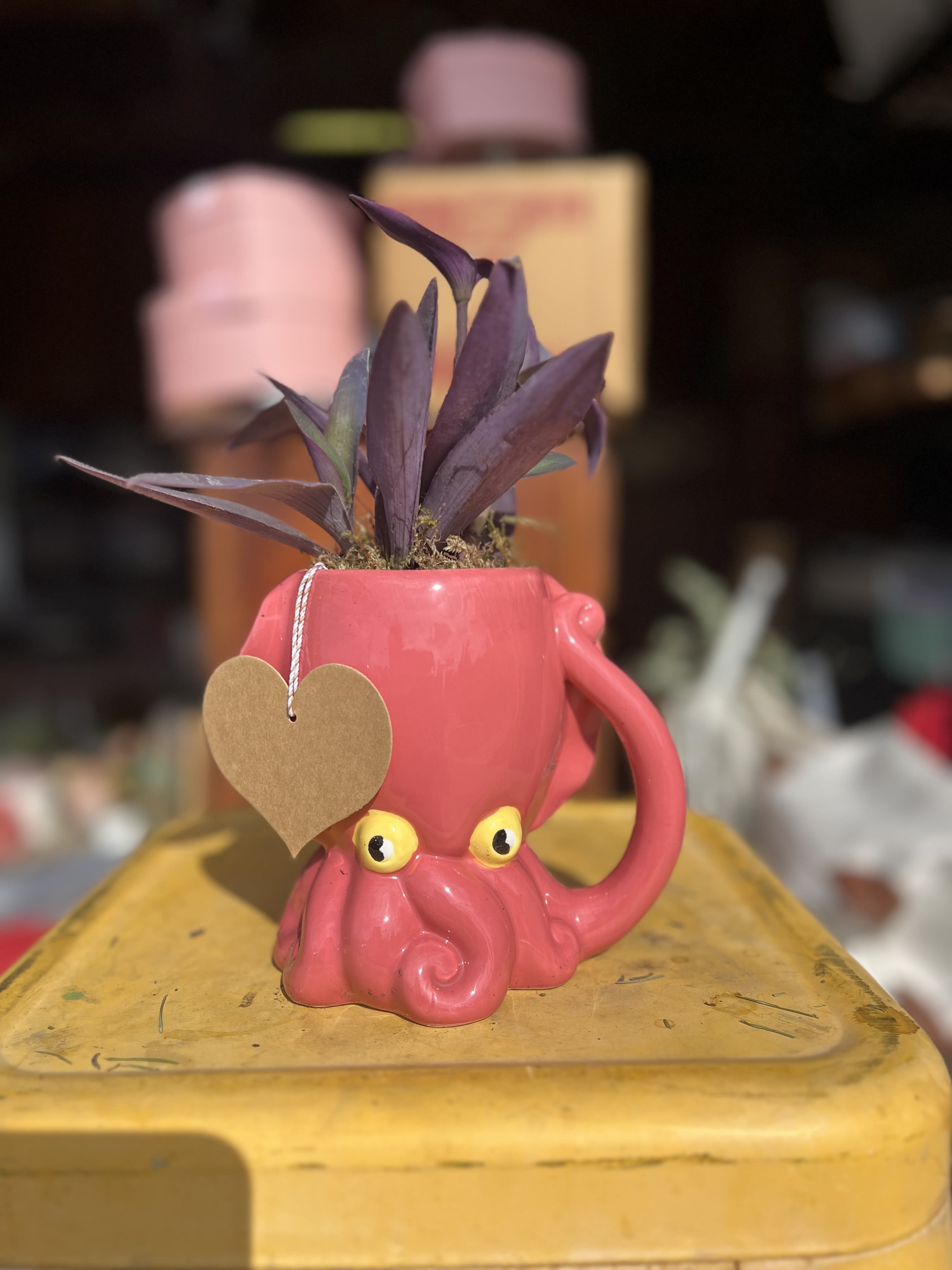 Pink Octopus with Plant Pink Octopus with Plant - Pink Octopus with Plant