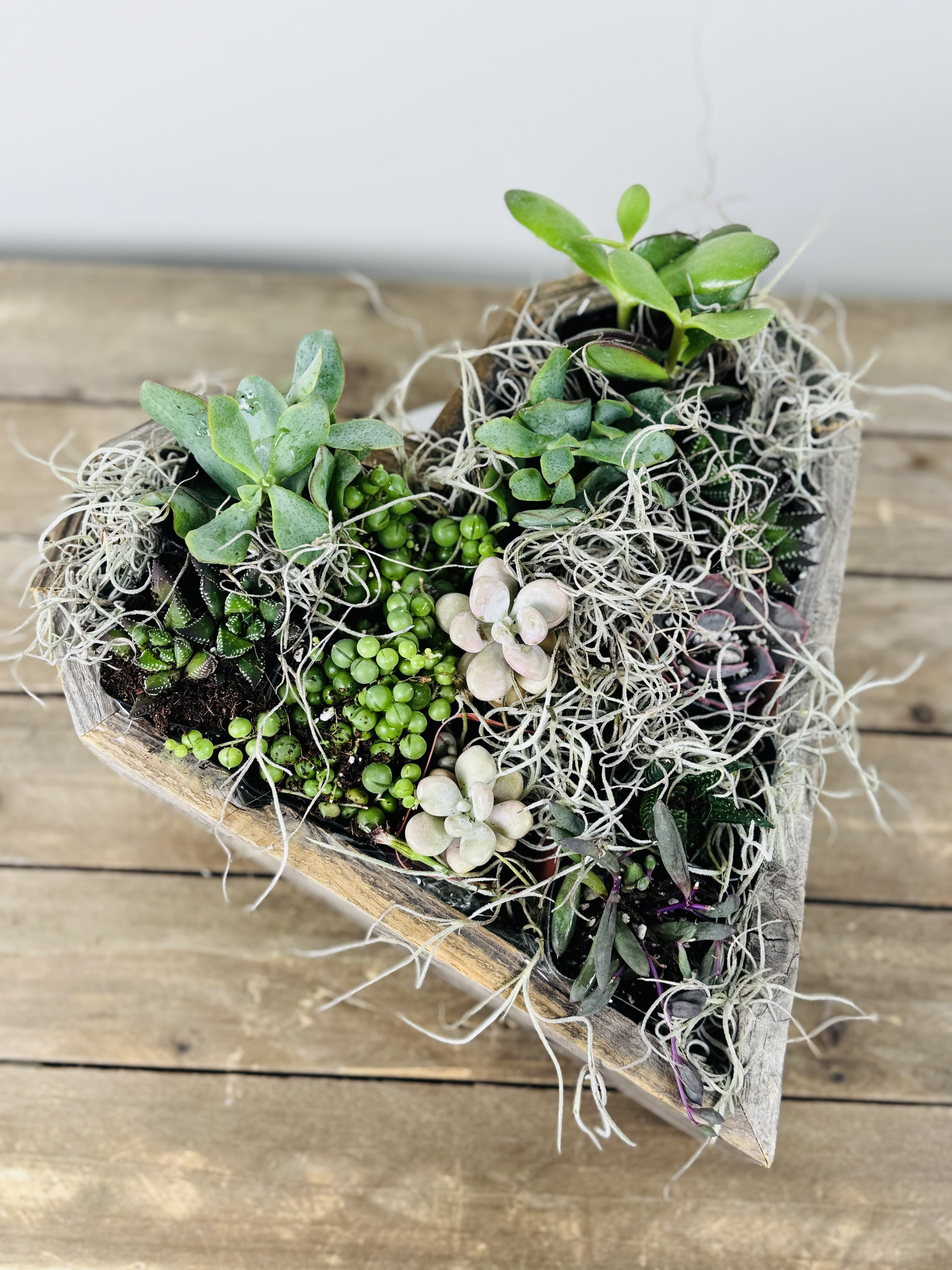 Succulent Love - Give the gift of nature and love this Valentine's Day!  Succulent Love: a heart-shaped masterpiece made from reclaimed wood, filled with carefully arranged succulents. Perfect for your Valentine or as a beautiful addition to your space. Ready for pick-up now!