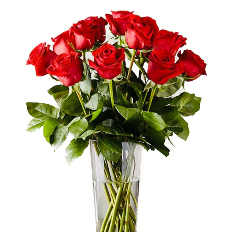 1 Dozen Classic Long-Stemmed Red Roses - Freedom red roses simply arranged with Italian ruscus, camellia and salal foliage in a simple glass cylinder.