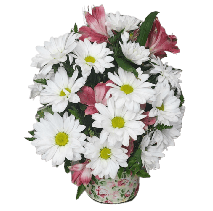 Petite Blossoms - Send your loved one a Petite Blossom arrangement. This design includes Daisies, Alstroemeria and Carnations. We wrap the glass container with a matching ribbon. NOTE:  Container may vary.