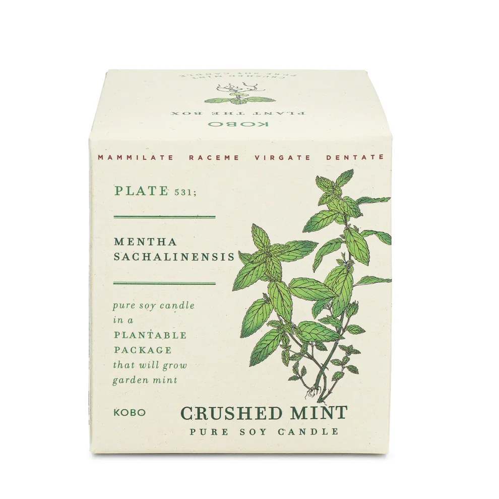 Kobo Crushed Mint - A sophisticated blend contrasting a cool, refreshing mix of spearmint, peppermint and peach flower with the intense warmth of cedarwood and oakmoss.  Kobo candles uses soy wax and the candle comes in a Plantable, biodegradable, seed-infused box.
