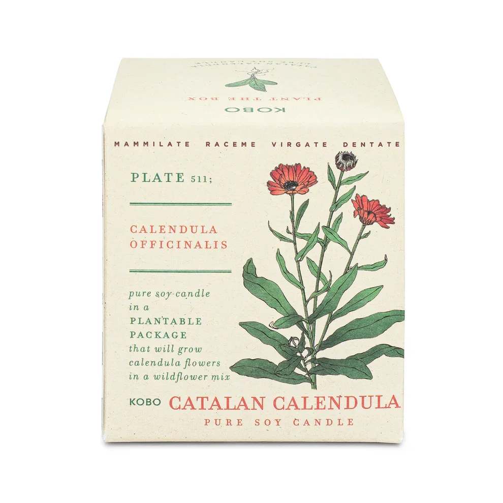Kobo Catalan Calendula Candle - A playful and romantic spring day in Barcelona where the air is filled with the scent of fresh cut flowers, mixed with delicate grassy notes and a bouquet of orange blossoms.  Kobo is made from 100% pure soy wax and comes in plantable, biodegradable, seed-infused packaging.