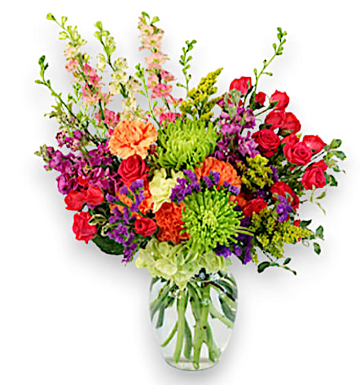 Colorful Blooms - Arranged in a charming clear ginger jar, this floral display is a vibrant celebration of color and texture. The foundation features lush variegated mini pittosporum, providing a fresh green backdrop that enhances the lively blooms. Three striking stems of pink larkspur rise elegantly from the arrangement, accompanied by the rich hues of three purple stock stems, which together create a delightful contrast. Adding a playful touch, three hot pink spray roses bring a burst of color, while two green Fuji mums introduce a unique and cheerful shape. The vivid orange carnations infuse warmth into the composition, complemented by a single stem of deep purple statice and a bright stem of yellow solidago, which adds a sunny accent. Together, these elements form a dynamic bouquet that radiates joy and energy.