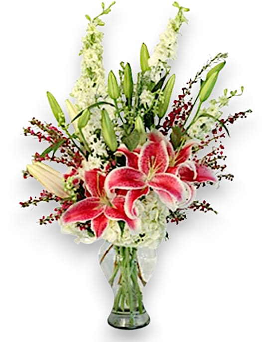 Deeply Dedicated Deeply Dedicated - This elegant sympathy arrangement is presented in a graceful 10-inch pinch neck vase, exuding both sophistication and warmth. Three lush stems of white hydrangea symbolize heartfelt emotions and understanding, while four vibrant pink stargazer lilies add a touch of beauty and hope. The striking white larkspur, with its tall, delicate spikes, offers a sense of grace and tranquility. Complementing these blooms are fifteen cheerful stems of hot pink wax flower, infusing the arrangement with energy and joy. Together, these flowers create a poignant and uplifting tribute, conveying love and support during a time of loss.