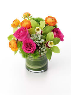 ORCHID AND SUCCULENT ORCHID AND SUCCULENT - This combination of cymbidium orchid and succulents is simply breathtaking perfect for any occasion * container and succulents may vary in shapes and textures .