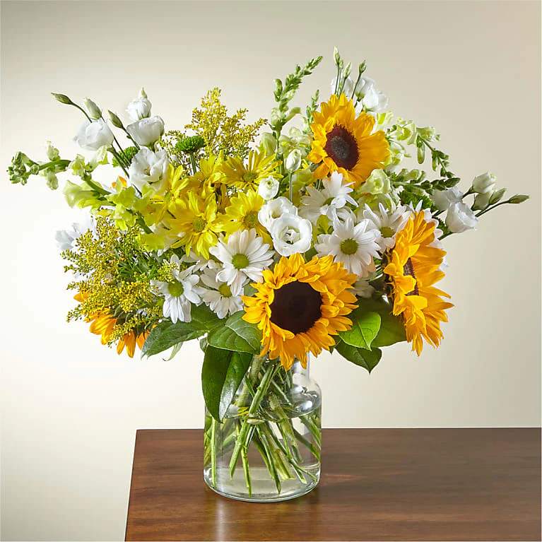 Sunshine - Give a dose of sunshine in bloom. This stunning bouquet is teeming with rays of sunflowers, textured snapdragons, and darling daisy poms to deliver the perfect pick–me–up for an occasion or as a treat to yourself. All Occasion Place your Order Online Monday to Saturday before 1:00 p.m. (E.T.) for same-day delivery.  “Orders received after hours will be delivered the next business day”. Check our coverage area. Occasionally, substitutions of flowers and/or containers happen due to weather, seasonality, and market conditions which may affect availability. If this is the case with the gift you’ve selected, we will ensure that the style, theme, and color scheme of your arrangement are preserved and will only substitute items of equal value or higher value.  CARE INSTRUCTIONS Keep the flower arrangement hydrated with natural water and change the water every two days. Do not spray any cleaning product on the flower arrangement. Do not place heavy objects directly on the flower arrangement. Keep flower arrangements out of direct sunlight and extreme heat. 