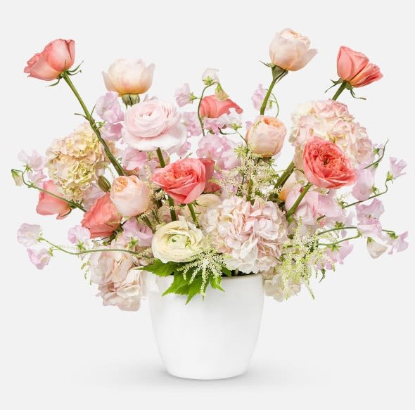 Renaissance Florale - Celebrate romance, elegance, and renewal this Valentine’s Day with &quot;Renaissance Florale&quot;, a luxurious floral arrangement inspired by the beauty of a Parisian garden in full bloom. Designed to evoke softness and refinement, this bouquet features delicate ranunculus, garden roses, hydrangeas, and wisps of sweet pea blossoms, artfully arranged in a minimalist white ceramic vase for a timeless and ethereal aesthetic.  The pastel color palette of blush, peach, and ivory symbolizes devotion, admiration, and pure affection, making it a sophisticated choice for expressing deep emotions. The arrangement’s airy, organic composition gives it a modern yet romantic feel, perfect for those who appreciate delicate beauty and high-end floral artistry.  With its refined presentation and premium floral selection, &quot;Renaissance Florale&quot; is a stunning statement of love and admiration, ensuring an unforgettable floral experience for Valentine’s Day, anniversaries, or any occasion where elegance takes center stage.  Dimensions: Approx. 14&quot; high x 12&quot; wide  #Luxury Soft Pastel Floral Arrangement #Elegant Valentine's Flowers #Premium Hydrangea and Rose Bouquet #High-End Romantic Floral Gift #Parisian-Inspired Flower Design