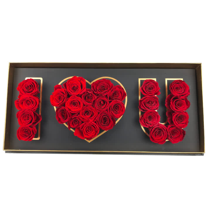 2 Dozen I Love U - Two Dozen &quot;I Love You&quot; Everlasting Preserved Rose Case That Will Last a Lifetime.