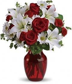 Be My Love Be My Love - Add some romance to the holiday season with this rich arrangement of luxurious flowers in classic winter colors. Red roses, snow white lilies and playful daisies are gathered in a ruby red vase she'll use well beyond Christmas! Red roses, white asiatic lilies, white daisy spray chrysanthemums, mini red carnations and sprigs of bupleurum and salal are presented in a graceful red glass vase. Orientation: All-Around SUBSTITUTION POLICY - Always deliver the freshest flowers! Please note the bouquet pictured reflects our original design. If the exact flowers or container in this arrangement are not available, our local florists will create a beautiful bouquet with the freshest available flowers.