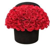 Love in a Box - Unveil a grand romantic surprise this Valentine’s Day with &quot;Love in a Box&quot;, a luxurious floral arrangement designed to captivate, impress, and express deep devotion. This stunning creation features an abundance of premium red roses, elegantly arranged in a sleek black velvet hatbox, creating a breathtaking and sophisticated display of passion and love.  Each hand-selected rose represents timeless affection and admiration, making this arrangement the ultimate surprise for your loved one. The dramatic contrast between the deep red roses and the elegant black box adds a modern yet classic touch, perfect for those who appreciate bold, luxurious floral gestures.  Designed to make an unforgettable impact, &quot;Love in a Box&quot; is the perfect luxury floral gift for Valentine’s Day, anniversaries, and romantic surprises.  Dimensions: Approx. 16&quot; high x 16&quot; wide  #Luxury Valentine's Roses #Elegant Rose Hatbox #Romantic Floral Surprise #Premium Red Roses in a Box #Timeless Love Flowers
