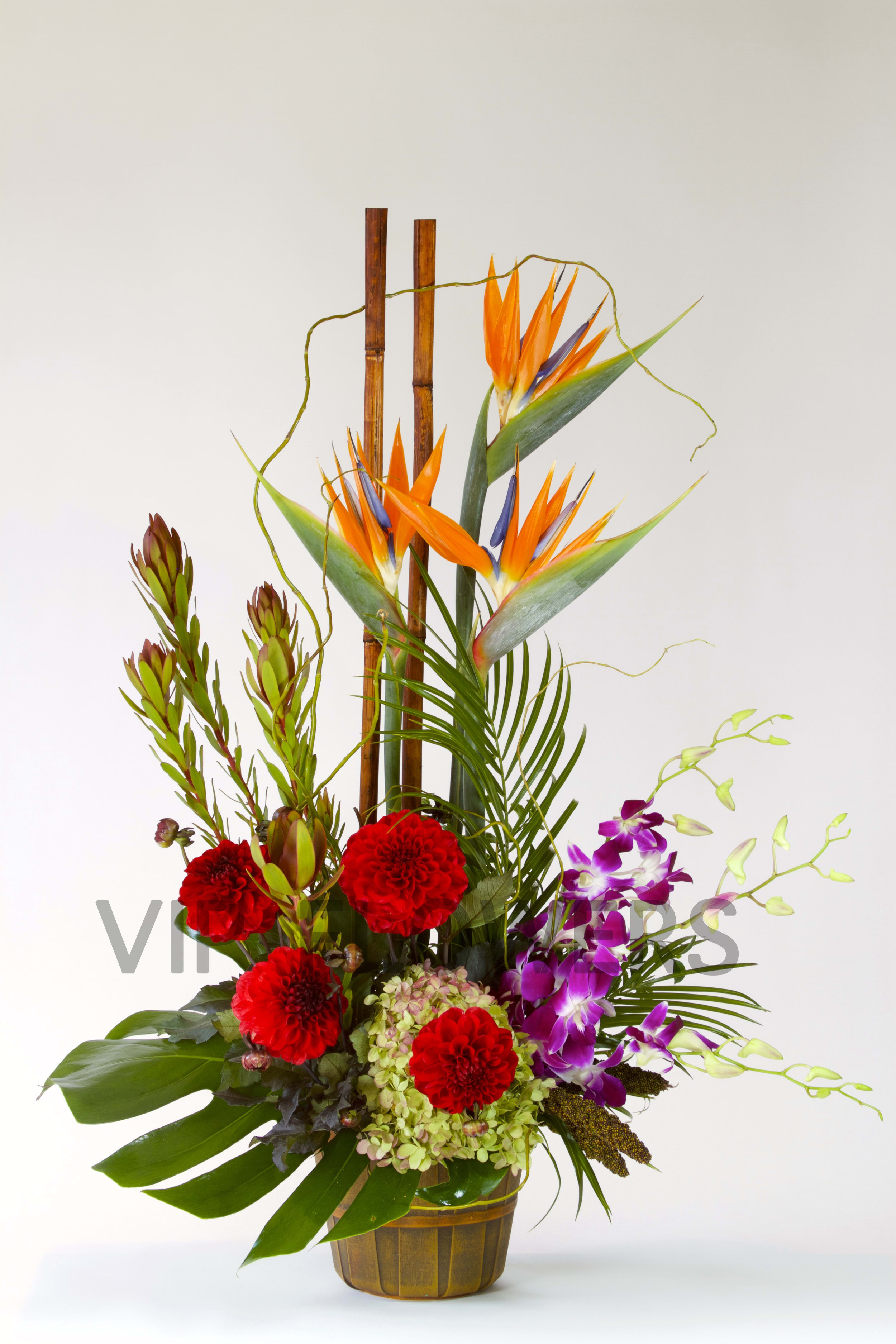 Birds &amp; Bamboo Field - Need a little paradise in your life? Order this magnificent Hawaiian styled tropical floral arrangement. Full of Birds of Paradise, Orchids, Dahlia's, Hydrangea and a dash of bamboo! One for the eyes to see and truly be mesmerized by its beauty!     Substitutions may be necessary to ensure your arrangement or specialty gift is delivered in a timely manner. The utmost care and attention is given to your order to ensure that it is as similar as possible to the requested item (Please note that some flowers and colors may vary due to seasonality.)