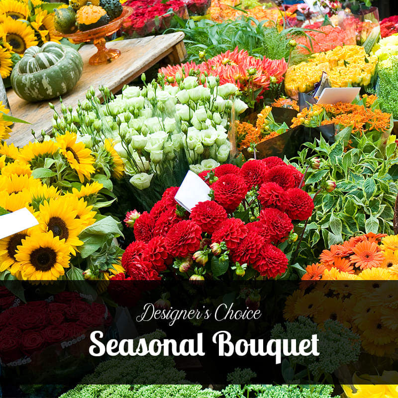 Designer's Choice - Seasonal Bouquet Designer's Choice - Seasonal Bouquet - Designer's Choice - Seasonal Bouquet The prettiest and freshest flowers available for the season we are in. They will bring the wonderful colors of the season to the recipient in a moments notice. They are prefect for any occasion.