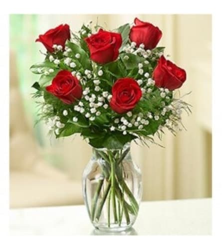 HALF DOZEN RED ROSES HALF DOZEN RED ROSES - BEAUTIFUL MIX OF RED ROSES WITH FILLER