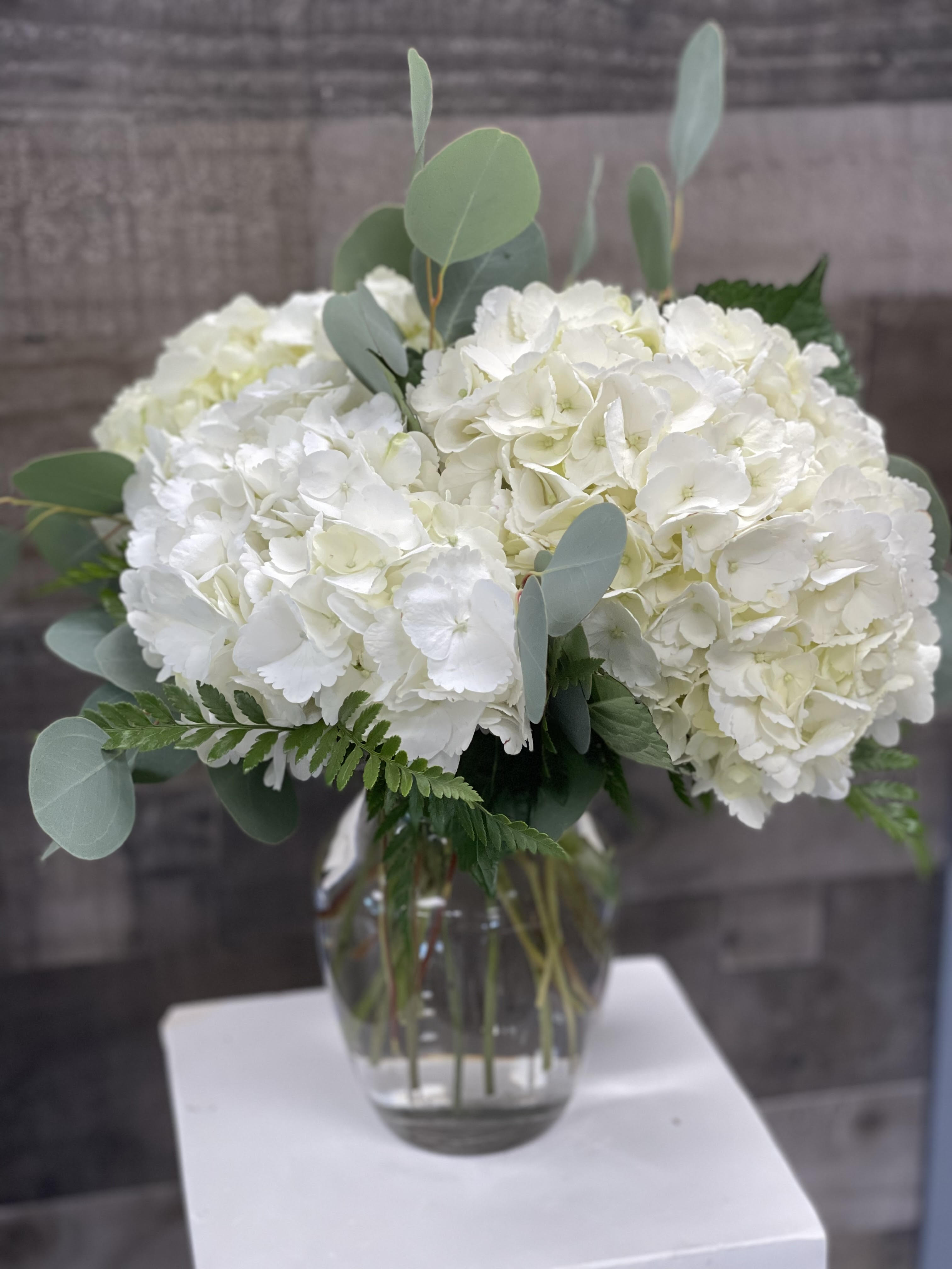 Heavenly Hydrangea Arrangement - Arrangement includes White Hydrangea and Assorted Greenery.