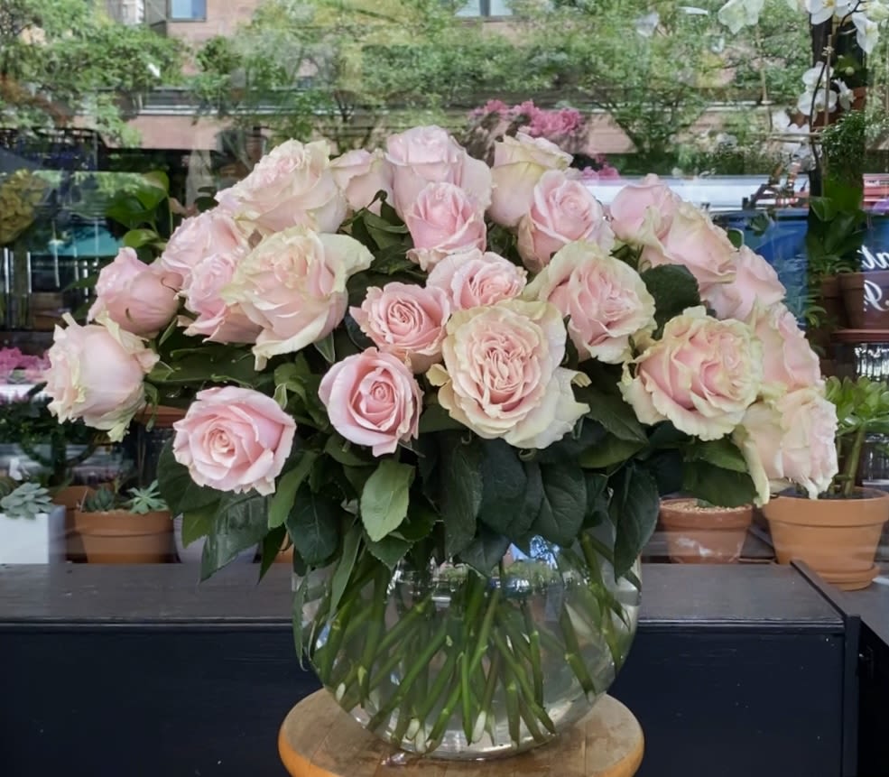 Three Dozen Pink Roses - three dozen pink roses, shorter to medium style, vase may vary