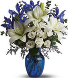blue horizon  - white and blue flowers and blue vase