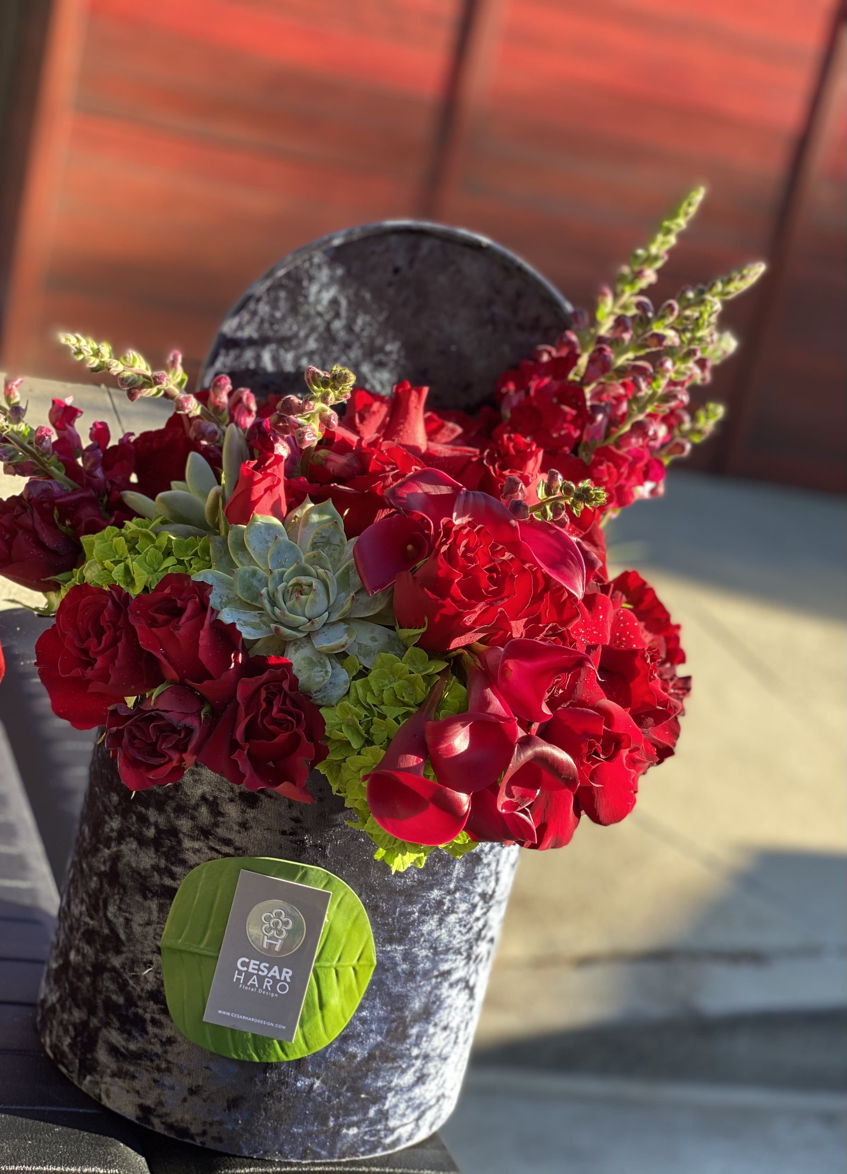 Intense Red Colors  - Red assortment of flowers 