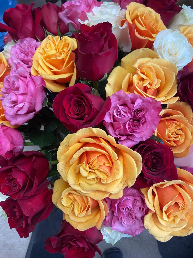 Dozen Roses Wrapped Dozen Roses Wrapped - Dozen Roses Wrapped/Specify color
