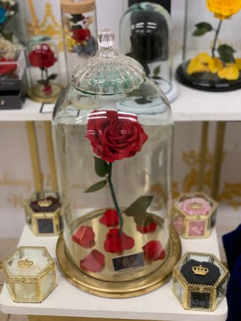 ETERNAL ROYALTY ROSES GOLD EDITION LARGE B&amp;B ETERNAL ROSES - Our Eternal Roses are carefully hand crafted out of Real roses that have been preserved to last up to 10 years without sunlight, water or excessive heat. The perfect gift for long-lasting relationships. It's a symbol of everlasting love, eternal family, and endless friendship. True love is especially suitable for you. The Perfect Valentine's, anniversary, birthday or any special occasion gift