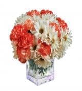 You're an Angel Bouquet You're an Angel Bouquet - Product Recipe: Arrangement of peach and white flowers, including peach carnations and white daisies.