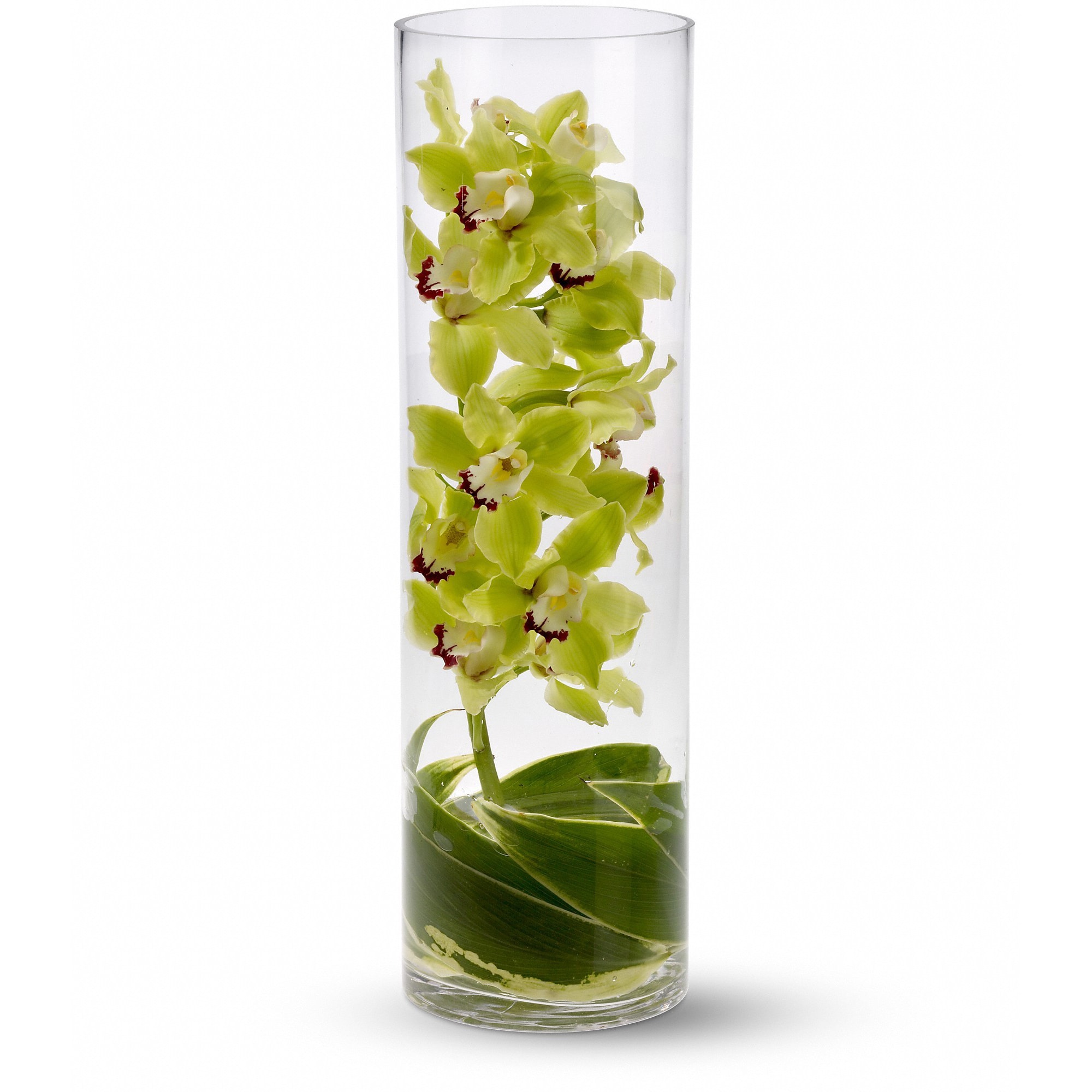Zensational - When this tall, green and handsome arrangement arrives at someone's home or office, it is destined to create a Zensation! It's so dramatic, so different, and so delightful.  Gorgeous green cymbium orchids and ti leaves stand tall in a striking 19&quot; glass cylinder vase.  Approximately 6&quot; W x 19&quot; H  Orientation: All-Around      As Shown : T82-2A  