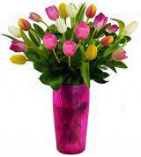 Spring Tulips Bouquet Spring Tulips Bouquet - Product Recipe: Arrangement of assorted colored tulips filled to value.