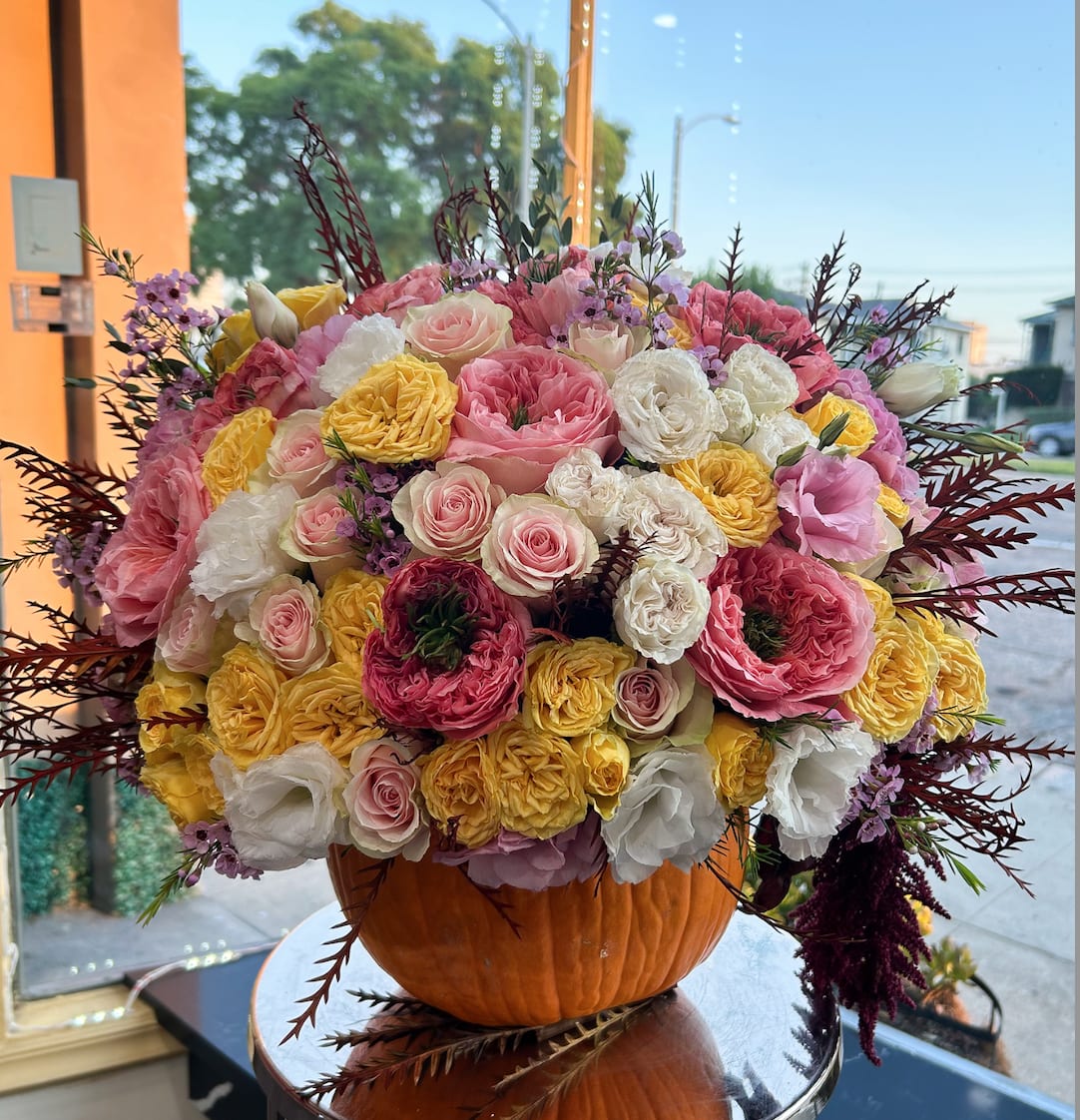 Pumpkin spice Pumpkin spice - Brighten your autumn celebrations with our Limited Edition Fall Pumpkin Floral Arrangement! Bursting with vibrant seasonal blooms, this stunning display is artfully arranged in a fresh pumpkin, creating a unique centerpiece that captures the essence of fall. Perfect for gatherings or as a thoughtful gift, this arrangement adds warmth and charm to any space. Elevate your decor with this captivating piece that brings joy and seasonal spirit to your home or office. Don’t miss out—order your exclusive Fall Pumpkin Floral Arrangement today and let the beauty of autumn inspire you!