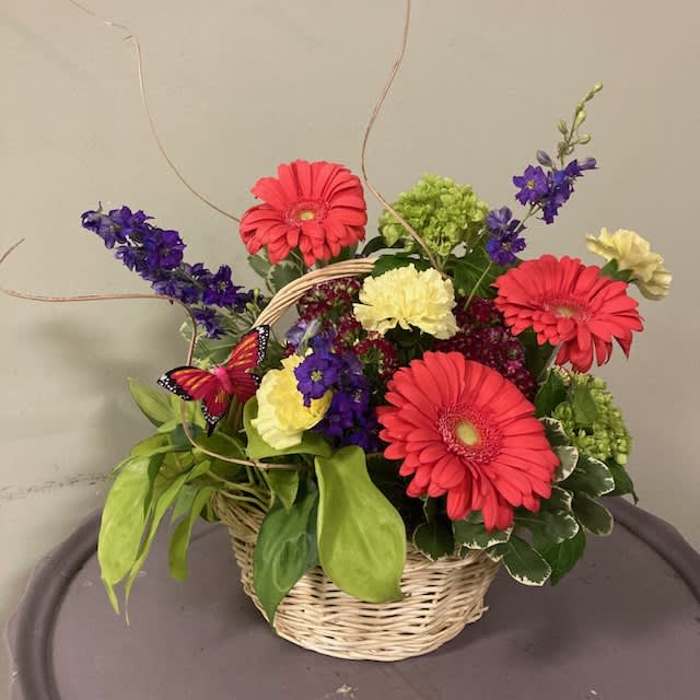 Basket of Continuous Joy Basket of Continuous Joy - This beautiful basket full of fresh flower blooms also includes a living plant that the recipient can keep and cherish forever.... *Plant / Flowers may vary*