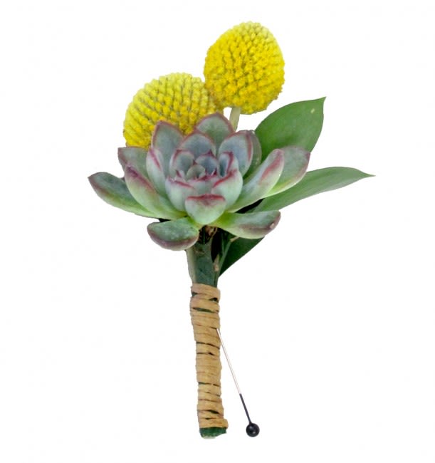 Succulent Billy Ball Boutonniere - Need a boutonniere, but you're not the typical flower type? Have we got the perfect bout for you! This design mixes a Succulent with Billy Balls (also known as Billy Buttons or Craspedia) for an elegant, timeless and super chic look. Whether you're wearing a tuxedo, suit or khakis, this unique boutonniere is sure to impress.  Please call one of our friendly sales associates at 619-237-8842 to discuss color and size options. Everything is made to order!