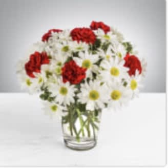 Daisy Crazy by BloomNation™ - A modest gift that will make a lasting impression. Daisy Crazy by BloomNation™ is the perfect gift for a birthday or just to show you care.   Arrangement Details: Includes white chrysanthemum spray daisies, red carnations, and assorted greenery. APPROXIMATE DIMENSIONS: 12&quot; H X 12&quot; W
