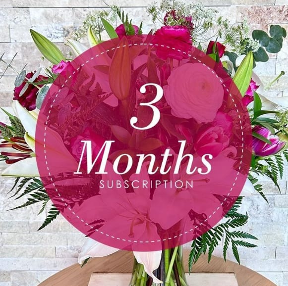 Bi-Weekly Flower Subscription - 3 Months $100/Per Arrangement Bi-Weekly Flower Delivery for 3 Months. Bi-Weekly Flower Subscription - 3 Months $100/Per Arrangement Bi-Weekly Flower Delivery for 3 Months. - All subscriptions include delivery. Paid ahead of time based on the length of subscription purchased. Upgrade to Deluxe or Premium for more stems. Perfect for treating yourself, gifting, and housewarming. Twice a month delivery on the 1st and 15th.