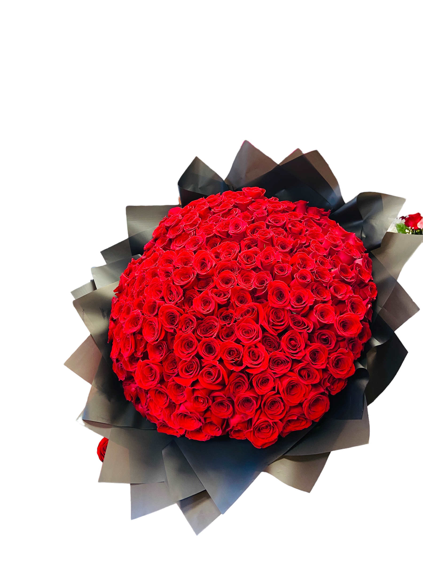 Eres mi razón para sonreír 100 Rosas Rojas bouquet Eres mi razón para sonreír 100 Rosas Rojas bouquet - 100 Rosas Rojas bouquet