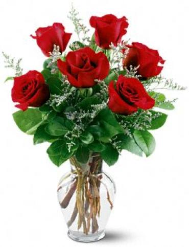 6 Red Roses 6 Red Roses - If the red rose�s exquisite beauty isn�t reason enough to make it the ideal choice to express your love, its symbolism of magic and passion adds a message beyond words. Item # 6REDROSE