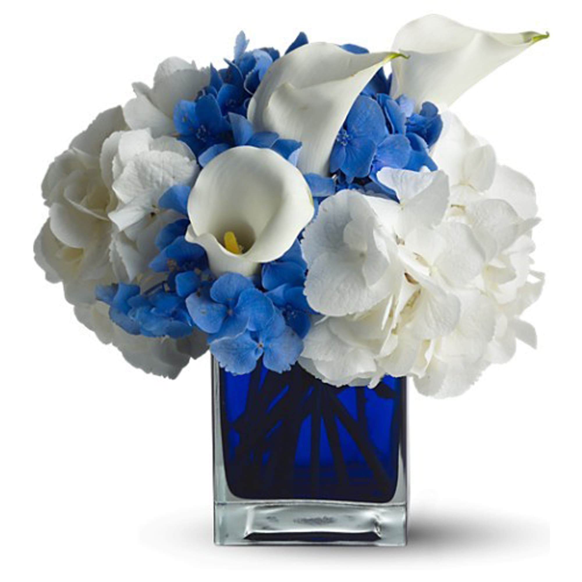 Teleflora's Waves of Blue - So simple, yet so incredibly gorgeous, this lovely bouquet featuring white callas in a blue contemporary glass cube vase is truly a stunner. They'll be thanking you for weeks.    The exquisite bouquet includes white miniature callas, blue hydrangea and white hydrangea accented with assorted greenery.     Delivered in a blue contemporary glass cube vase.    Bouquet is approximately 11&quot; H x 10 1/2&quot; W    Orientation: All-Around    As Shown : TFWEB607