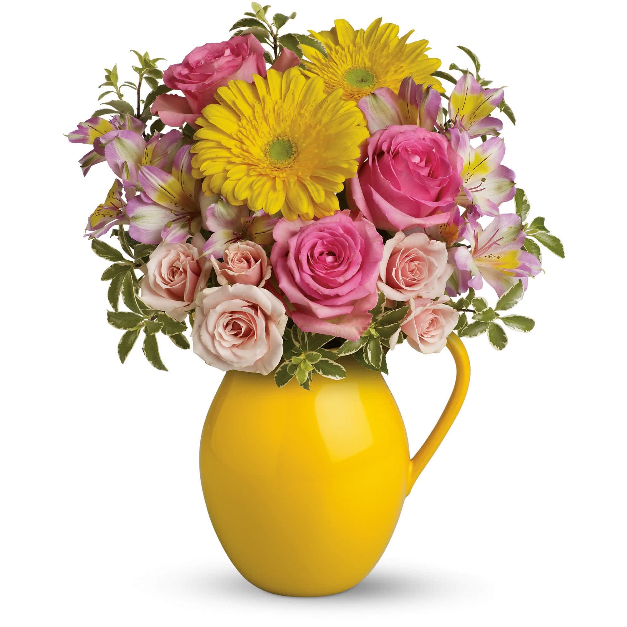 Teleflora's Sunny Day Pitcher Of Charm Teleflora's Sunny Day Pitcher Of Charm - Fill their cup with happiness! This signature Sunny Day pitcher is sure to pour joy! Filled with beautifully bright gerberas and sweet roses, it's a gift they'll always treasure.