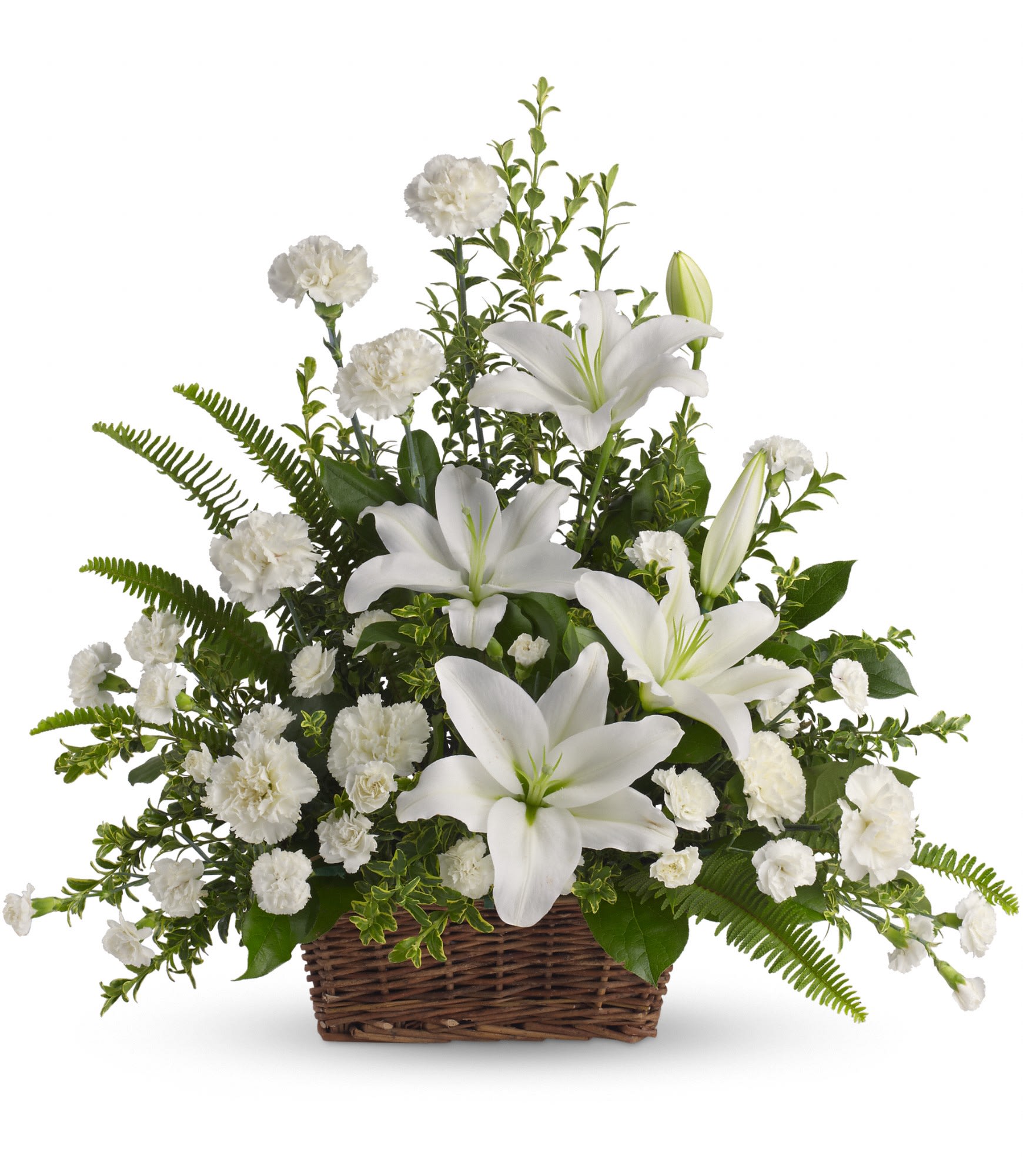 Peaceful White Lilies Basket by Teleflora - Whether you send this beautiful arrangement to the family home or to the service, all will appreciate its elegance and grace. The contrast of brilliant white blossoms and dazzling greenery create a wonderfully calm and dignified setting.  
