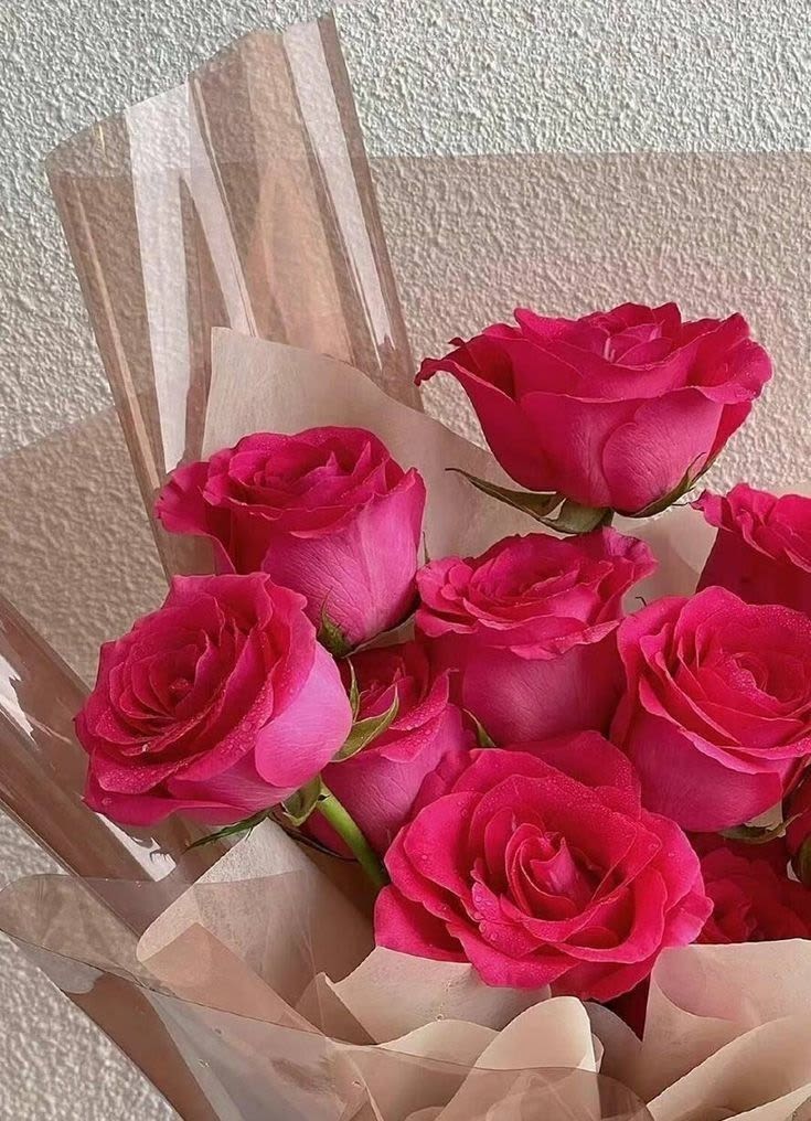 One dozen HOT PINK rose bouquet- hand tied with floral paper - 12  HOT PINK roses beautifully hand tied with floral paper and ready to pop into the vase of your choice. 