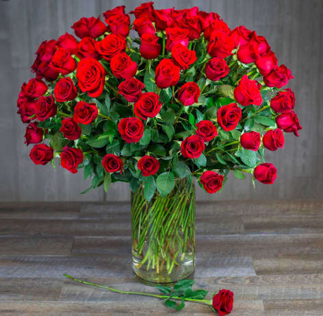100 Red Roses - 100 Red Premiant Long Stem Roses. Introducing the &quot;100 Premium Red Roses Bouquet&quot; - the ultimate expression of love and affection. This luxurious bouquet is hand-selected with 100 of the finest, freshest red roses, creating an awe-inspiring display of beauty and passion.  This stunning bouquet is the perfect Valentine's Day gift for that special someone who deserves the very best. The deep red color of the roses symbolizes love and passion, making it the ultimate romantic gesture.  The bouquet is expertly arranged and presented in a high-quality vase, adding a touch of elegance and sophistication. The stunning presentation of these premium red roses is sure to take your loved one's breath away, and create an unforgettable memory.  The 100 Premium Red Roses Bouquet is not only a beautiful and thoughtful gift, but also an affordable luxury. Show your love and appreciation for that special someone, and make a lasting impression with this amazing and luxurious bouquet. Order now and surprise your loved one with a stunning display of love and affection that they will never forget! 