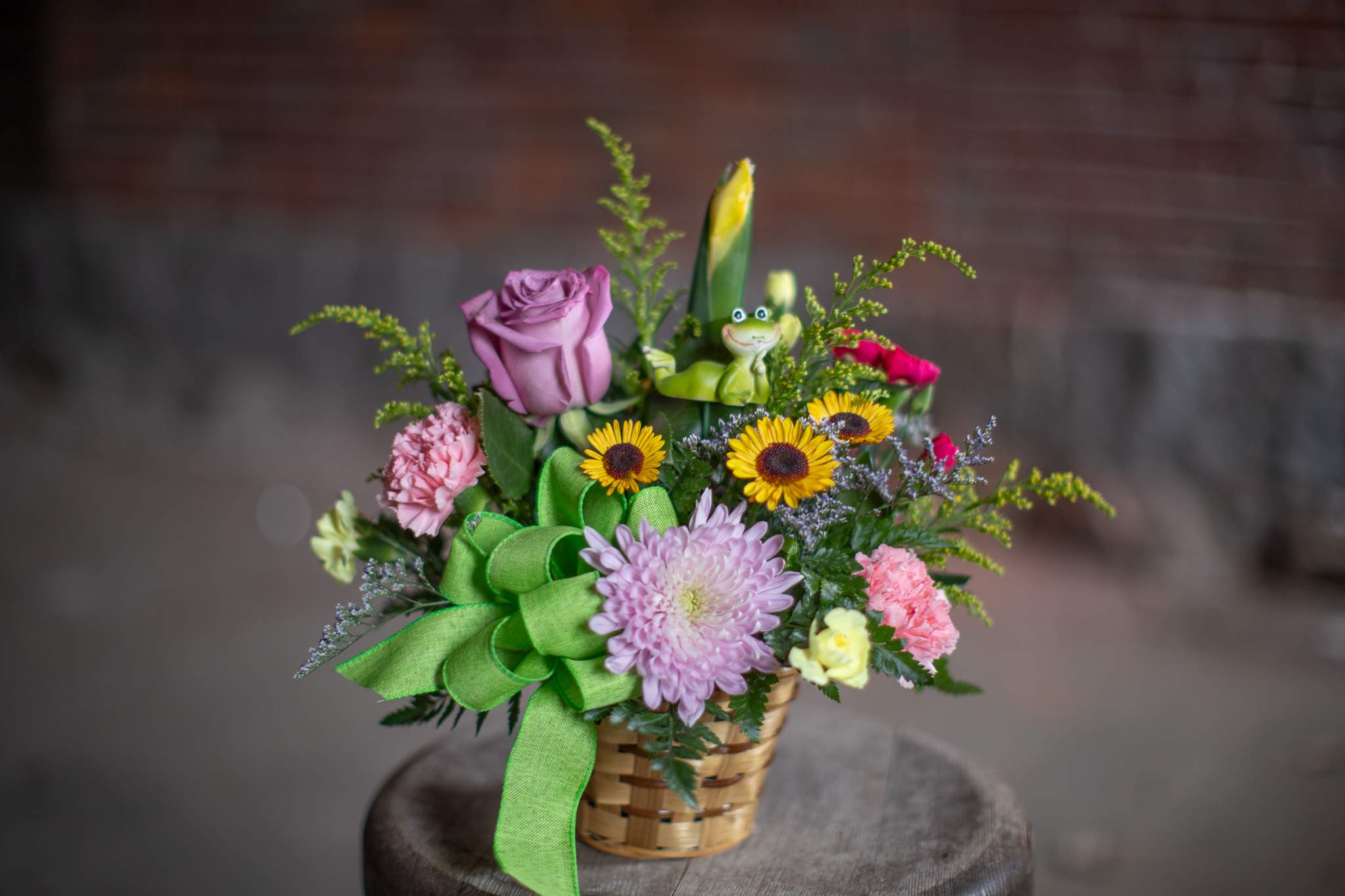 Julie's Choice - Feeling a little froggy? Jump into this spring time basket! Our driver, Julie, just loves frogs, so we had to name this one special for her. This arrangement was created on the cusp of Earth Day. It is a colorful basket of flowers, varieties may include assorted pom pons or daisies, carnations and spray dianthus, hypericum berries, asters with a pretty rose. The floral design is complete with a green bow to match the fun loving frog. This is a great pick me up for get well, a cute thank you, or any occasion in between. The frog could represent prince charming if you're shopping for a sweetheart. If you hop for this design, it will land in the hands or doorstep of your special recipient. Orientation is one-sided, meaning there the frog and rose are visible only on the front side of the arrangement. Simple flowers are on the baskets backside. See the video for an all around view.