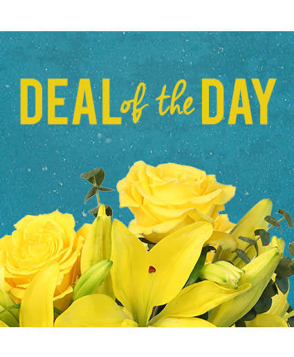 DEAL of THE DAY DEAL of THE DAY - Our Designer's will create a beautiful arrangement with the freshest most colorful blooms on hand. Great for any occasion or just to brighten someone's day.