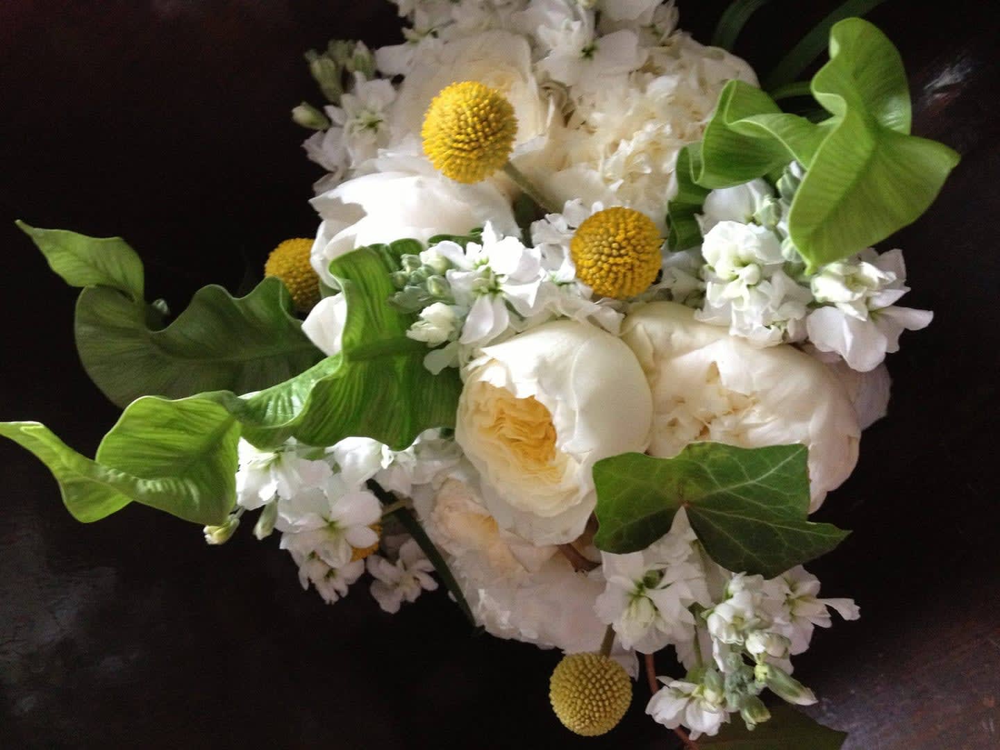 Pure Pure - Patience garden roses, craspedia, white stock and Japanese crispy wave. A stunning and original composition of texture and beauty.