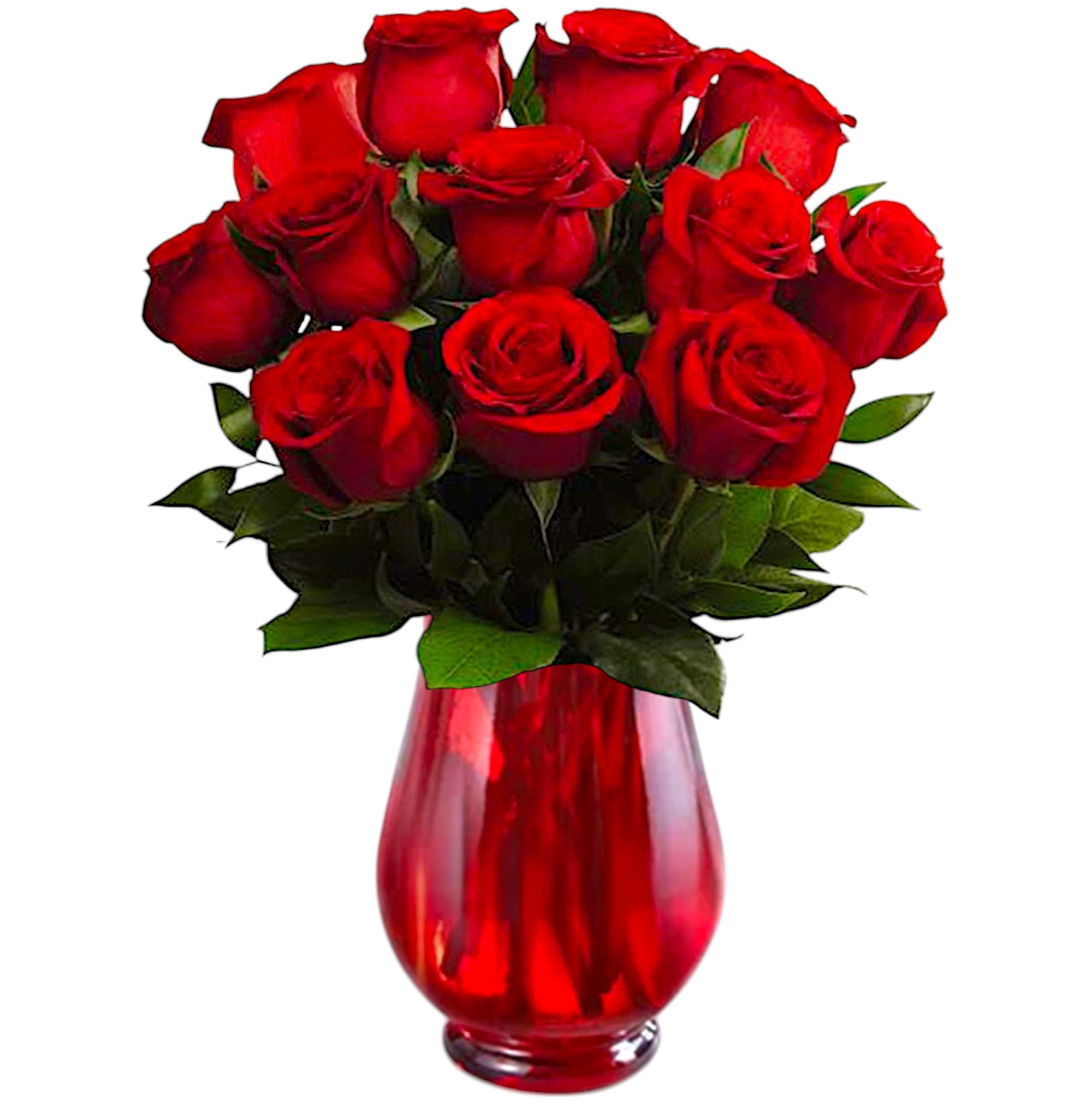 In Love with Red Roses Arrangement - The In Love with Red Roses Arrangement is a classic way to send your love this coming Valentine's Day, Anniversary, Special Occasion, or Just Because! Rich red roses are elegantly arranged amongst lush, vibrant greens to create a stunning bouquet that expresses your love and affection with each crimson bloom.   DETAILS Rich red roses are elegantly arranged amongst lush, vibrant greens to create a stunning arrangement that expresses your love and affection with each crimson bloom.   VASE INCLUDED Orientation: One-Sided Item #NF-443  FLORIST-TO-DOOR Same day flower delivery on most orders placed online by 12 pm or 10 am on weekends PST.  BLOOM DETAILS Roses Greenery  The Standard Arrangement is approx. 18&quot; H x 13&quot; W. The Deluxe Arrangement is approx. 20&quot; H x 15&quot; W. The Premium Arrangement is approx. 21&quot; H x 17&quot; W.  How to place an order? 1. You can place an order directly on this secure website OR 2. You can call in your order by dialing: (323) 262 - 9238 OR 3. You can visit our store (appointment recommended 323.262.9238)  NINFA'S FLOWERS 2405 WHITTIER BLVD. LOS ANGELES, CA. 90023  ATTENTION: *Please note that on busy holidays, Valentine's Day, and Mother's Day, we cannot verify if the recipient received the flowers until the following day. You can verify delivery on the website after 10:00 pm, call 323.262.9238 the following day after 10:00 am, or contact the recipient directly. Thank you for your patience and understanding