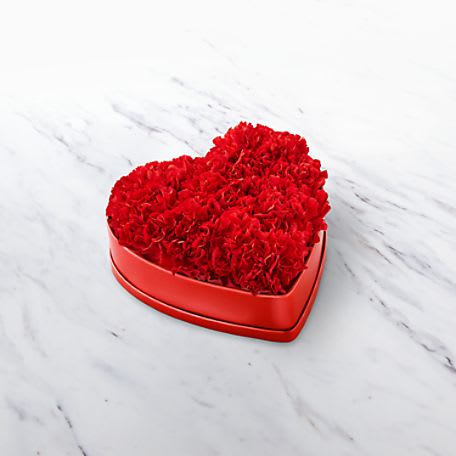 20-V6s Heartfelt Carnation 20-V6s Heartfelt Carnation - Flowers in a box