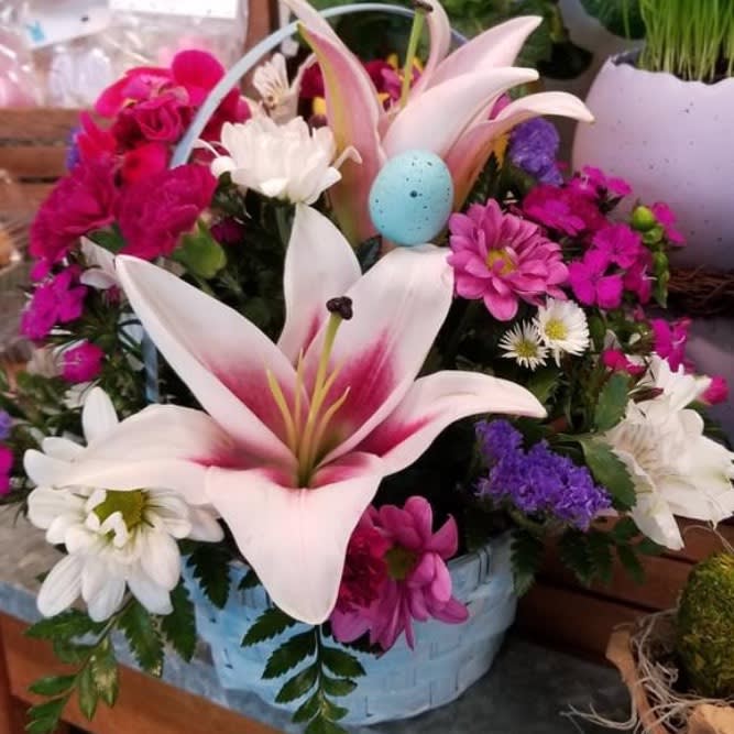 Robin's Egg Easter Bouquet Robin's Egg Easter Bouquet - Celebrate the Easter holiday with this whimsical flower basket complete with a blue robin's egg and matching blue basket. Beautiful vibrant mixed bouquet of fragrant lilies, daisies and crysthanthemums.