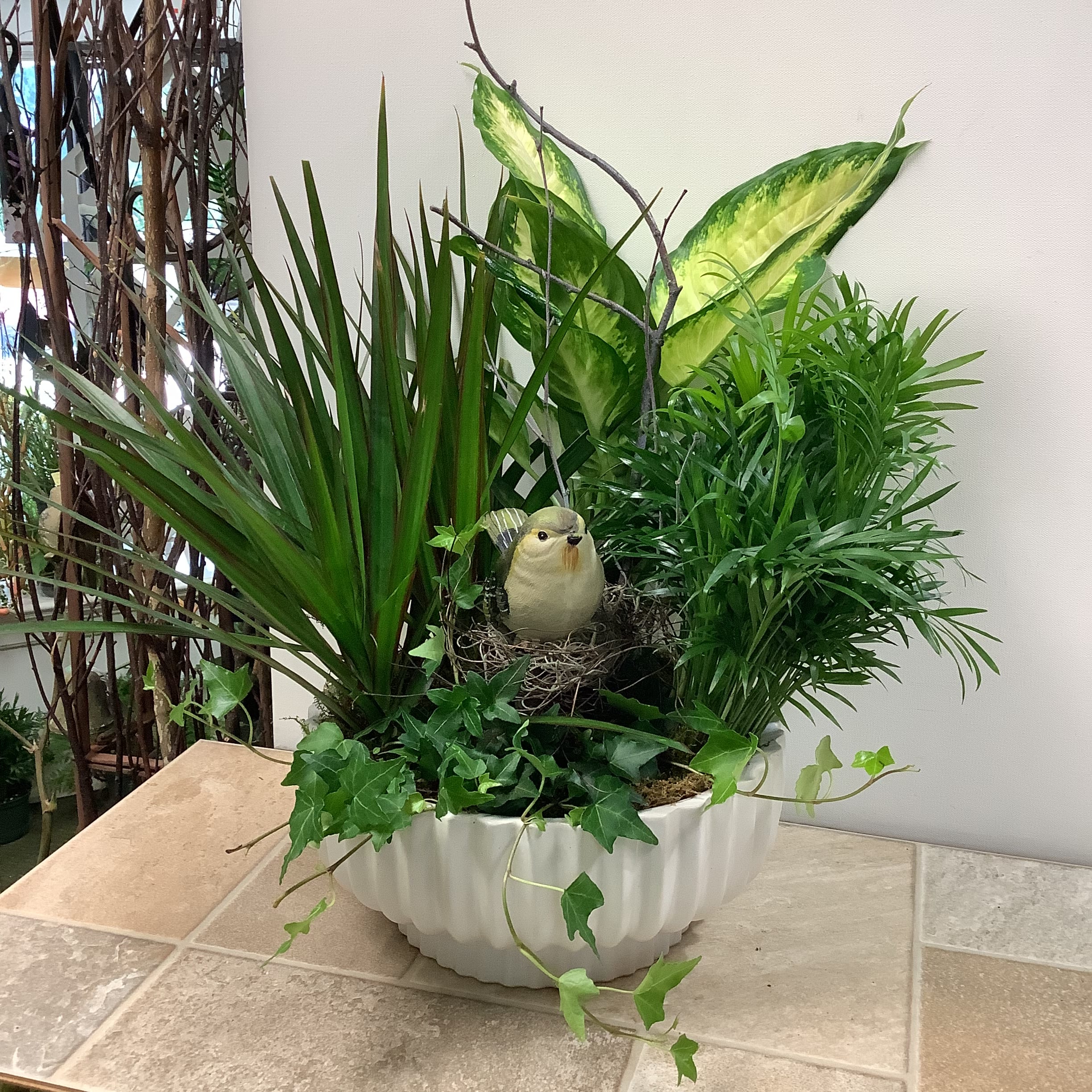 In The Garden In The Garden - A lovely dish garden featuring four healthy green houseplants along with a nested ceramic bird. It’s white pot is of excellent quality. This garden measures17” wide x 17” tall.