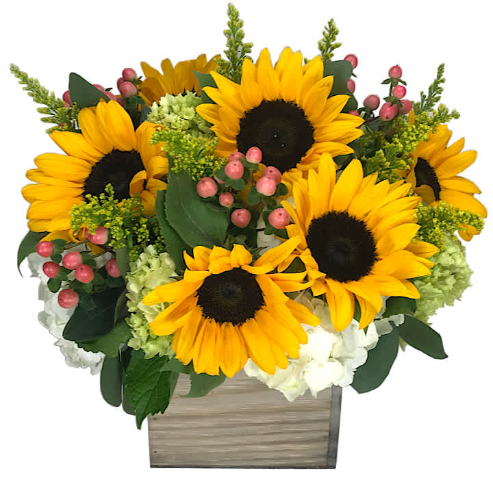 Summer Sun - Sunflowers combined with other summertime seasonal blooms