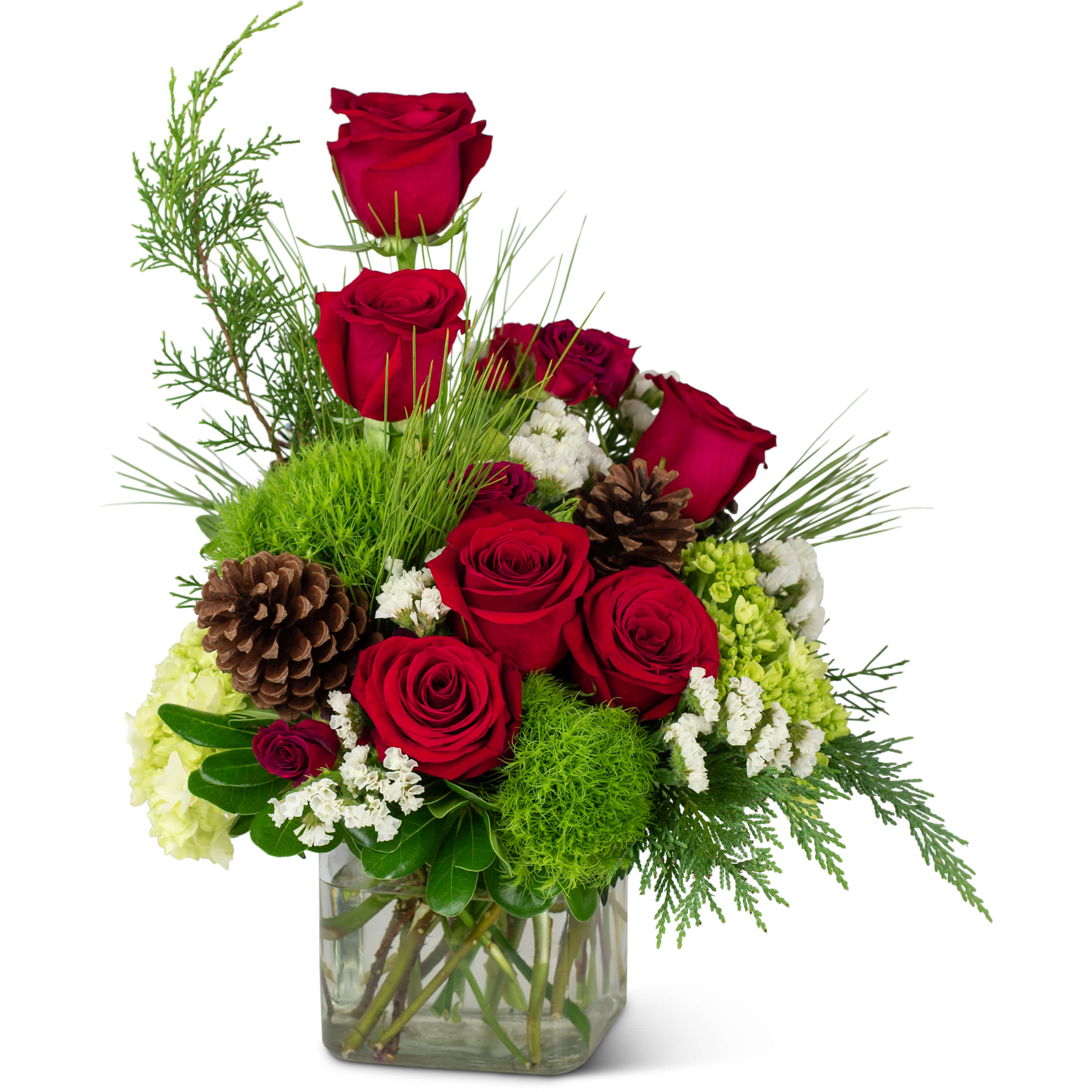 Sentiments - Beautiful sentiments are often shared during the holiday season. Send your Wintertime Sentiments to your family and friends. This modern arrangement features 6 Red Roses that are surrounded by Mini Hydrangea, Green Trick Dianthus and Spray Roses.